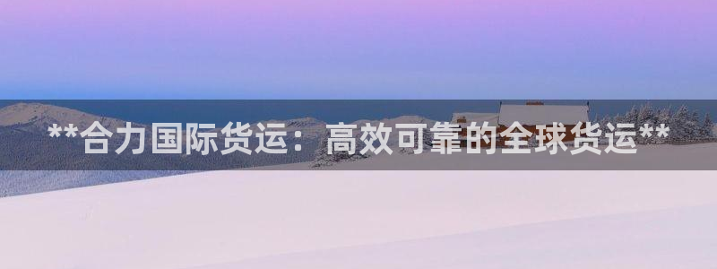 尊龙凯时代理能提出来不：**合力国际货运：高效可靠的全球