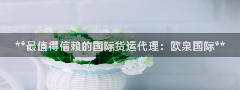 尊龙凯时app官方网站：**最值得信赖的国际货运代理：欧