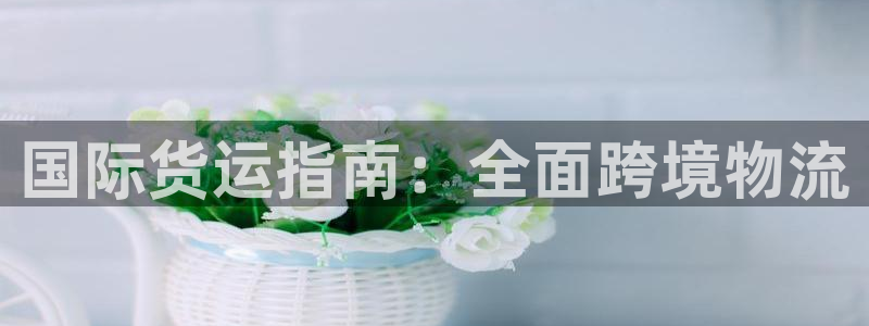 尊龙d88手机app免费下载：国际货运指南：全面跨境物流