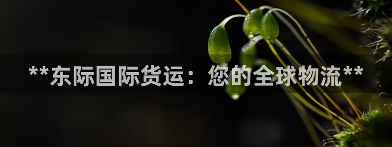 尊龙凯时能做退米么：**东际国际货运：您的全球物流**