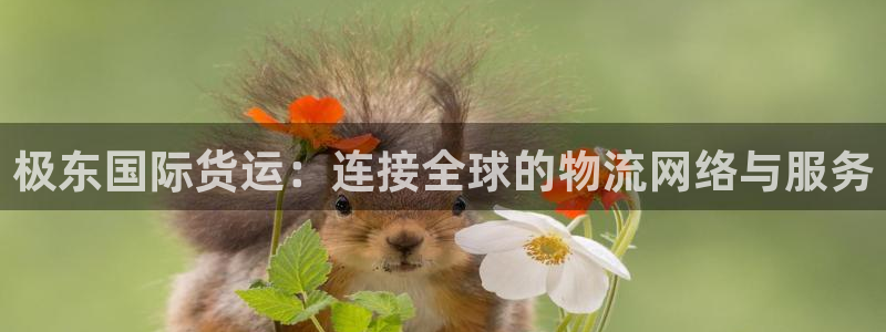 尊龙网址是多少