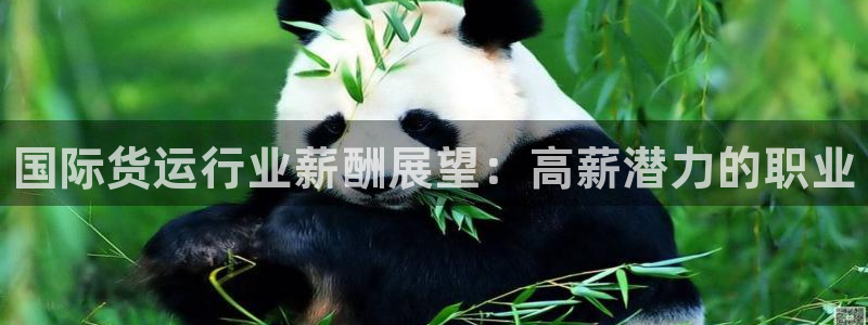 尊龙凯时注册：国际货运行业薪酬展望：高薪潜力的职业