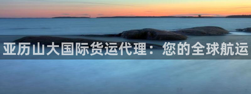 尊龙凯时：亚历山大国际货运代理：您的全球航运