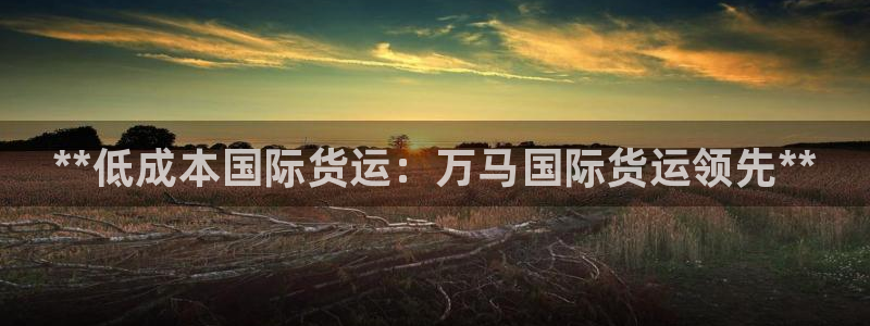 尊龙目前照片：**低成本国际货运：万马国际货运领先**