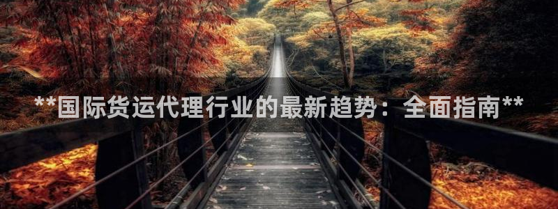 尊龙人生就是博客服：**国际货运代理行业的最新趋势：全面