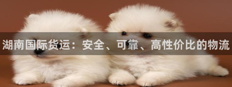 尊龙官方平台：湖南国际货运：安全、可靠、高性价比的物流