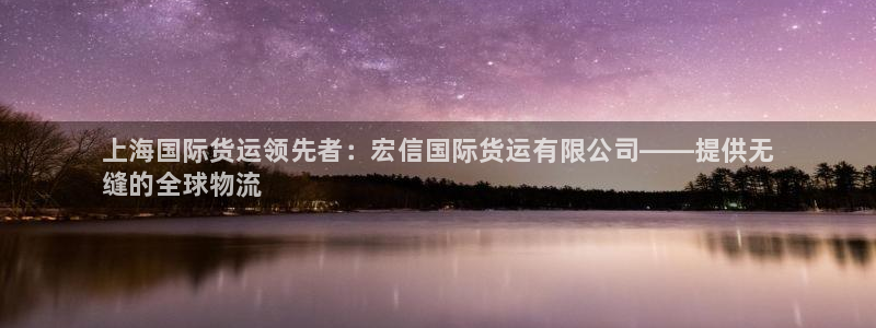 尊龙手机版：上海国际货运领先者：宏信国际货运有限公司——