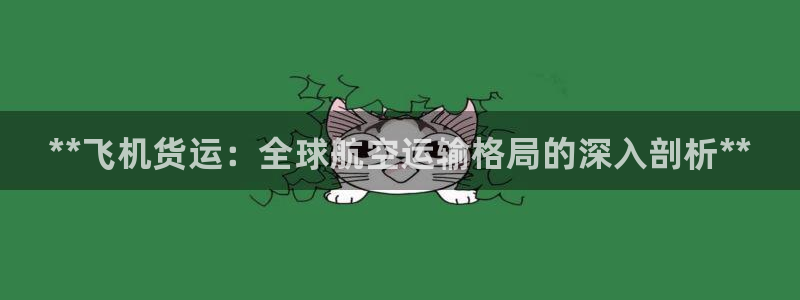 尊龙网站注册网：**飞机货运：全球航空运输格局的深入剖析