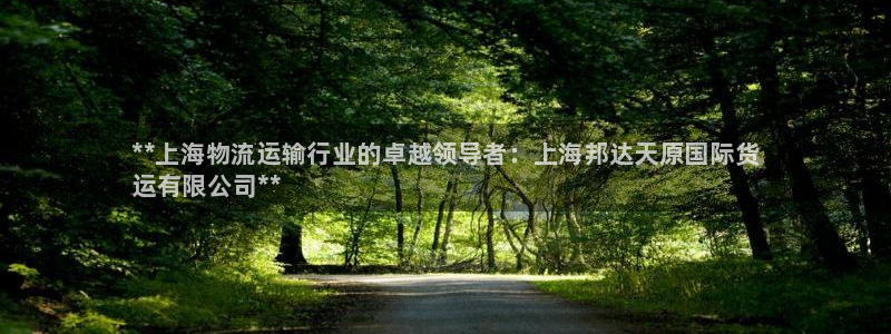 尊龙-人生就是博!：**上海物流运输行业的卓越领导者：上