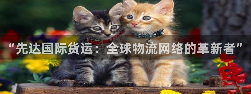 尊龙d88官网去来就送38