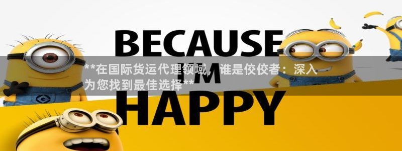 尊龙ag旗舰厅登录 租车app下载：**在国际货运代理领