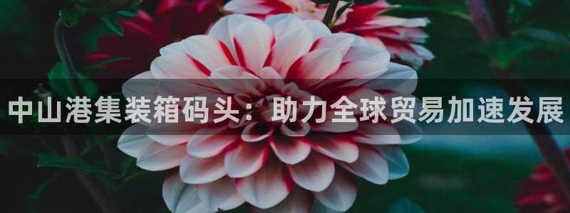 尊龙凯时取款24小时不到账