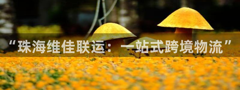 尊龙凯时取款24小时不到账