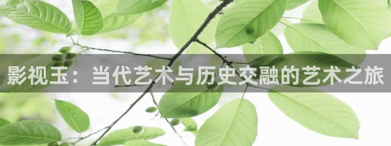 八一影院苹果