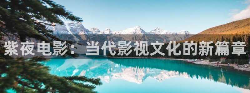 苹果电影 在线：紫夜电影：当代影视文化的新篇章