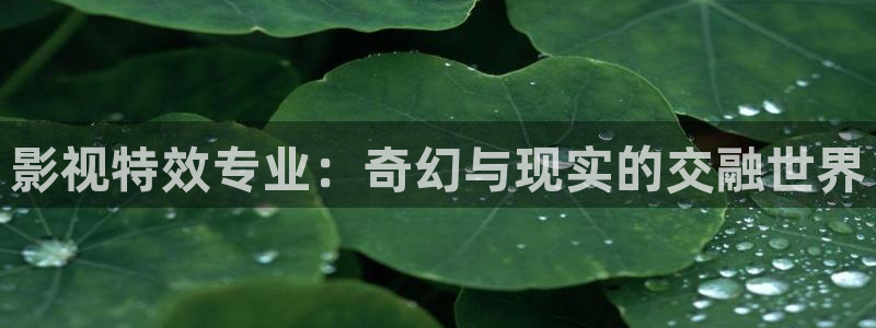 苹果电影网站
