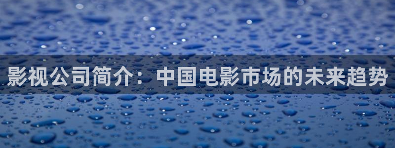 苹果电影.：影视公司简介：中国电影市场的未来趋势