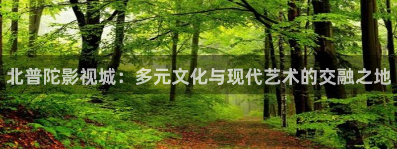 苹果电影无删减版：北普陀影视城：多元文化与现代艺术的交融之地