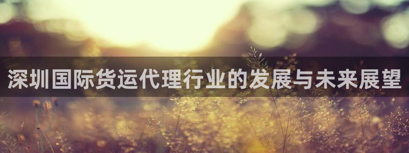 尊龙,人生就是博!登录国际