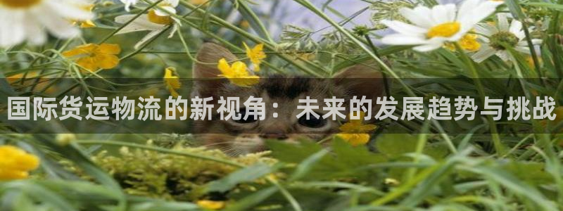 尊龙/人生就是博