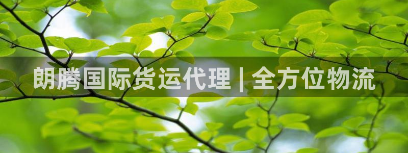 尊龙凯时集团：朗腾国际货运代理 | 全方位物流