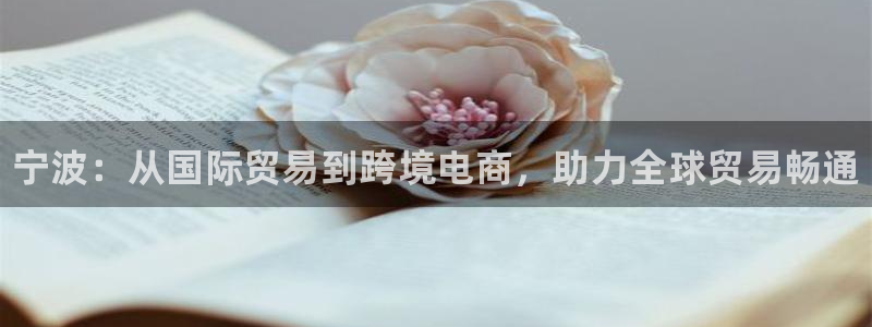 尊龙凯时麻将胡了：宁波：从国际贸易到跨境电商，助力全球贸